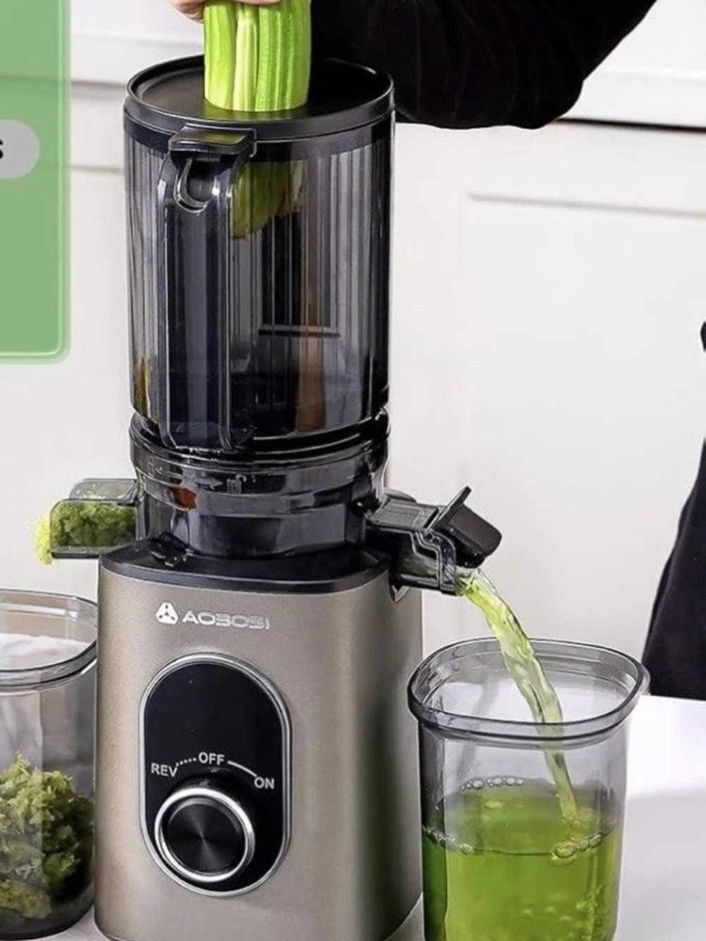 Cold Press Slow Juicer - Metallic Gray